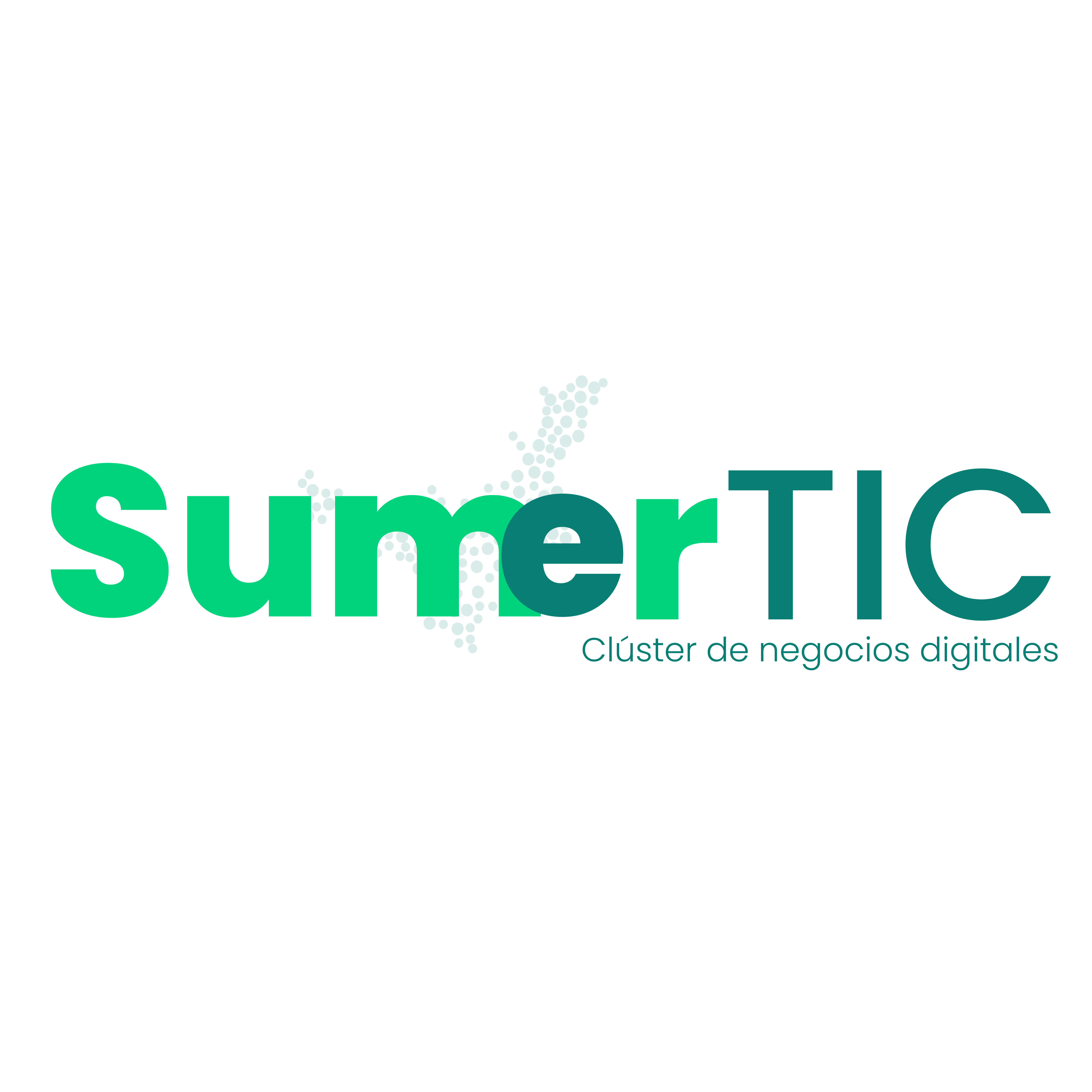 Logo SumerTIC